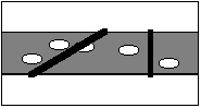Egg layer illustration