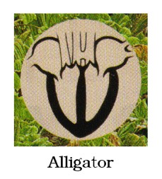 Alligator Heart