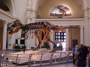 Sue