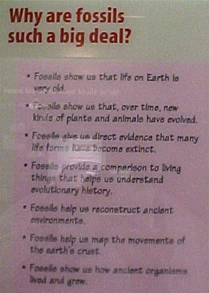 Fossil sign