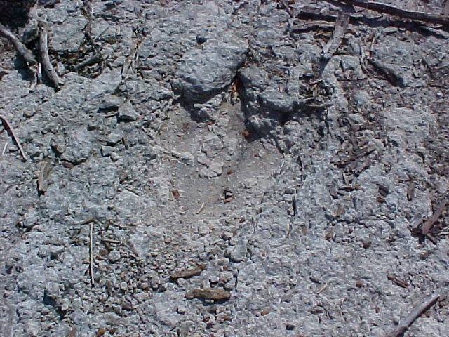 individual track